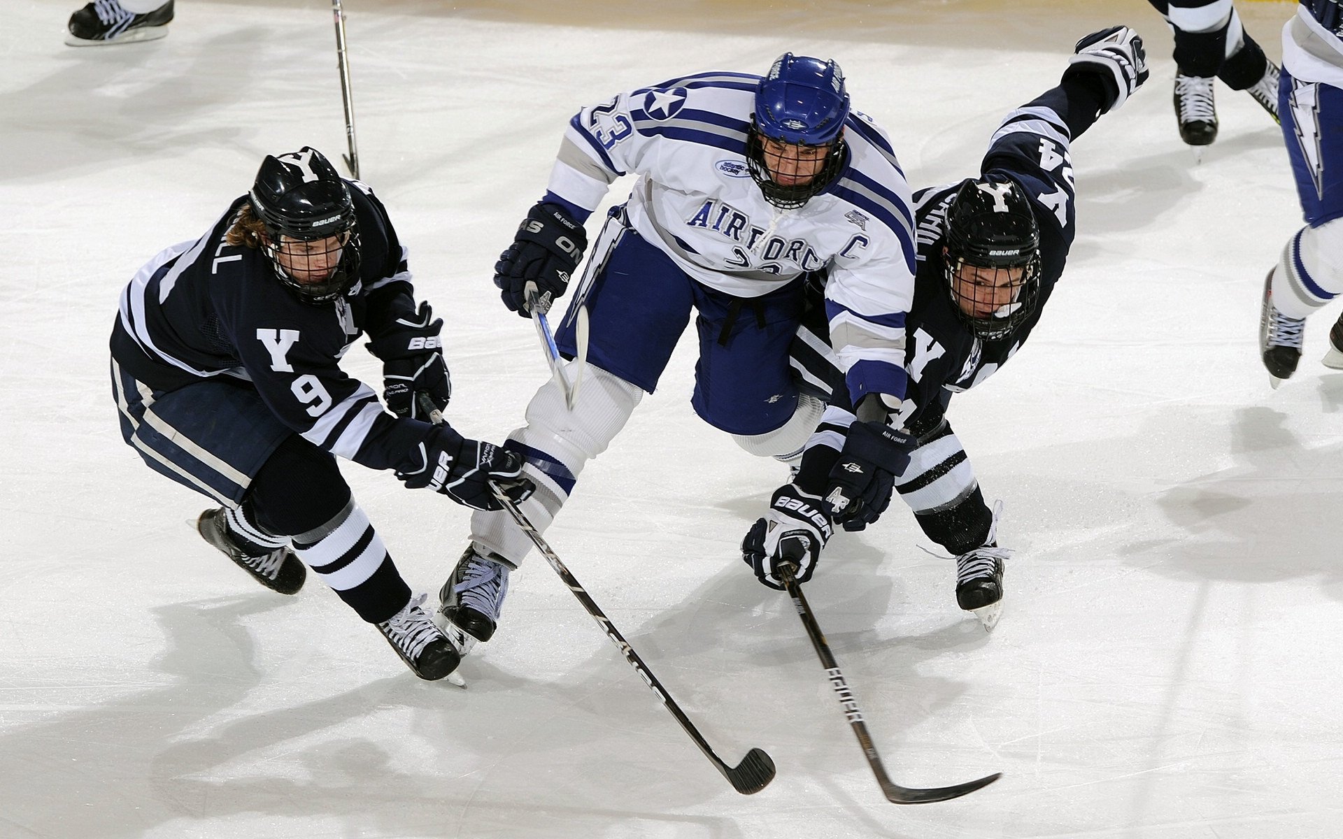 “美洲狮队突破极限,阿根廷橄榄球迎来新黄金时代”