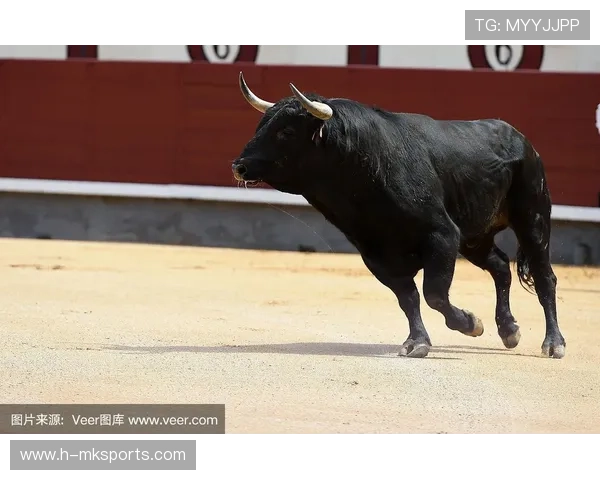 公牛团队在防守中显示出韧性和纪律性